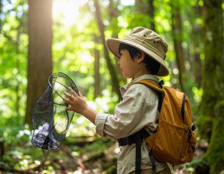 昆虫採集をする子供 昆虫採集をする子供の写真