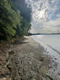 どこか儚い海 海,自然,緑と海の写真素材