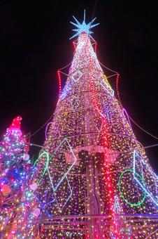 イルミネーションの写真