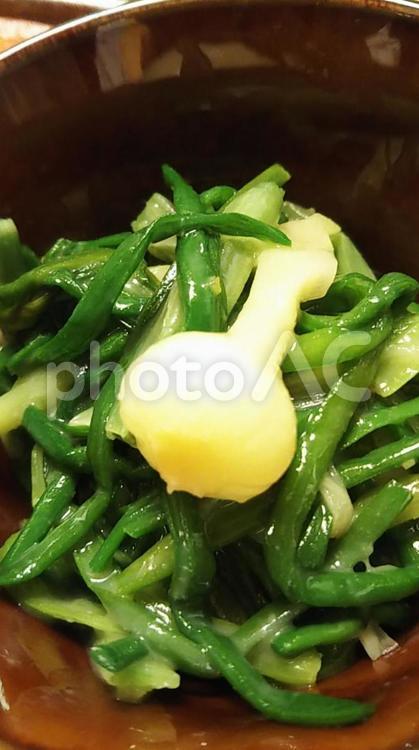 副菜　のびるの酢味噌和え のびる,副菜,酢味噌の写真素材