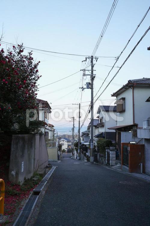 下り坂　住宅地 登り,下り坂,学童の写真素材