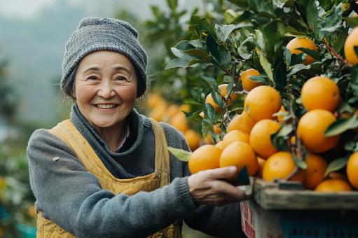 柑橘を育てる農家の女性のイメージ 柑橘を育てる農家の女性のイメージの写真