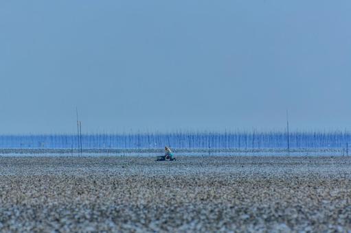 有明海の干潟 有明海の干潟 有明海,干潟,海の写真素材