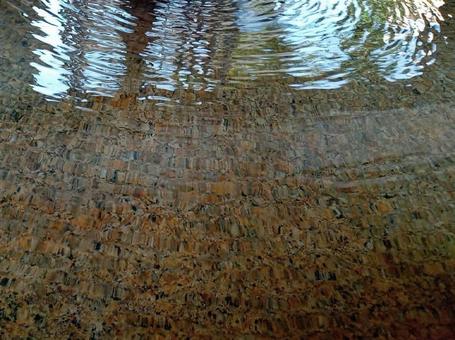 水紋 水紋の写真