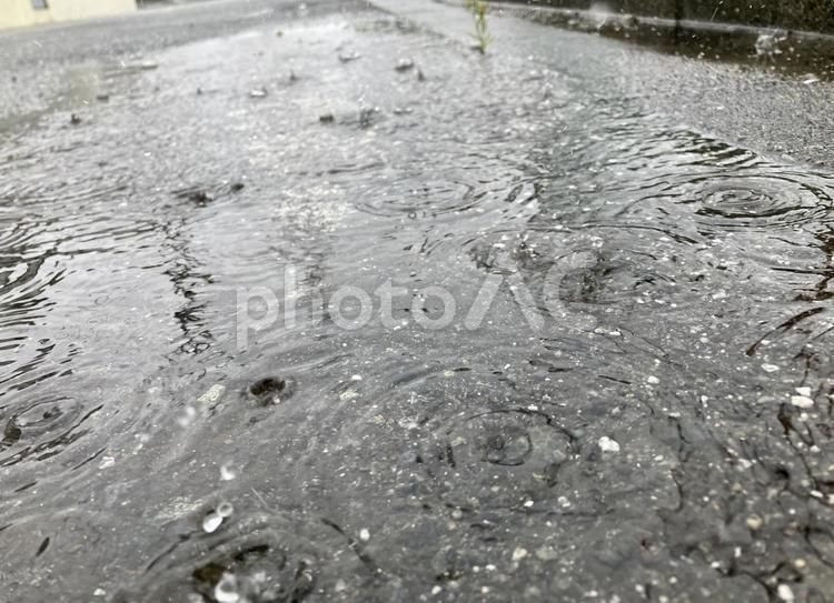 水面に浮かぶ無数の波紋 水たまり,雨,水滴の写真素材