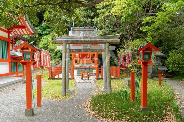 和歌山　阿須賀神社　阿須賀稲荷神社 阿須賀神社,阿須賀,神社の写真素材