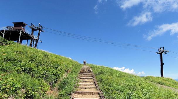 夏の白馬五竜アルプス平自然遊歩道にて 夏の白馬五竜アルプス平自然遊歩道にて 白馬五竜高山植物園,夏山,アルプス平自然遊歩道の写真素材
