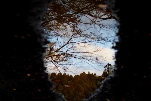 水鏡 水鏡の写真