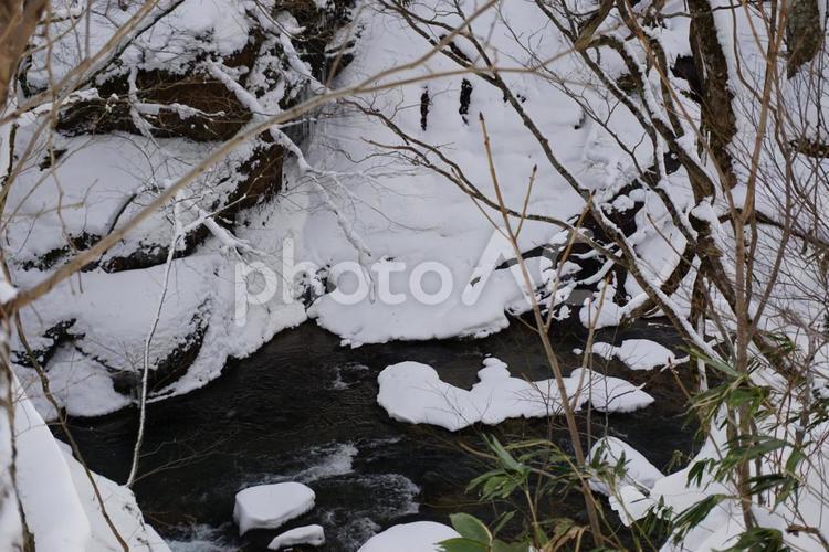 源流 冬,雪,木の写真素材