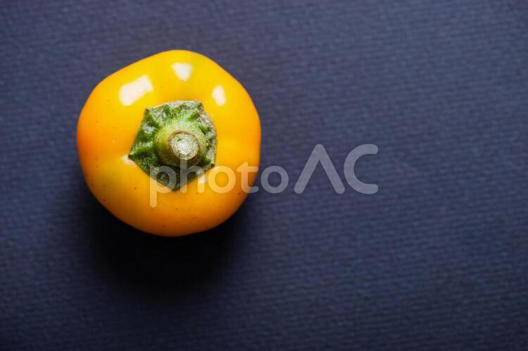 柿　かき　果物　フルーツ かき,柿,果物の写真素材