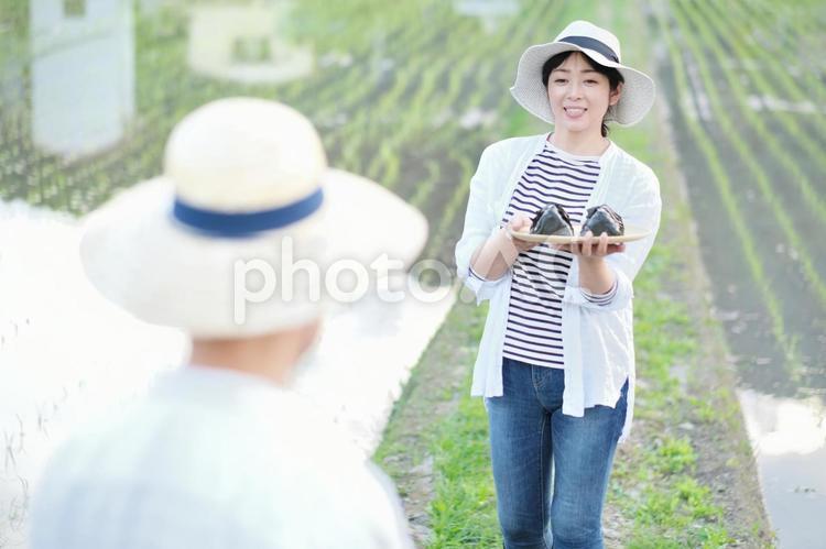 おにぎりを持つ女性 夫婦,おにぎり,運ぶの写真素材