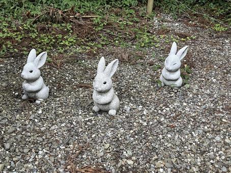 西照神社 うさぎ 西照神社 うさぎの写真