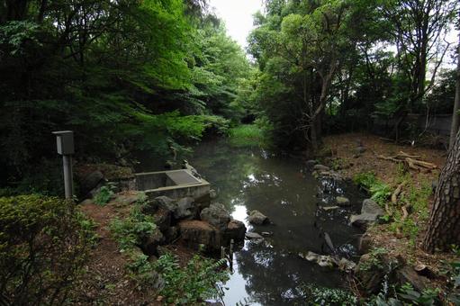 駒場野公園の池 駒場野公園の池の写真