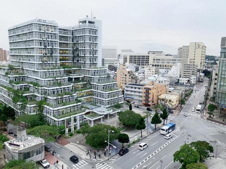 那覇市役所 那覇市役所 沖縄,那覇,市役所の写真素材