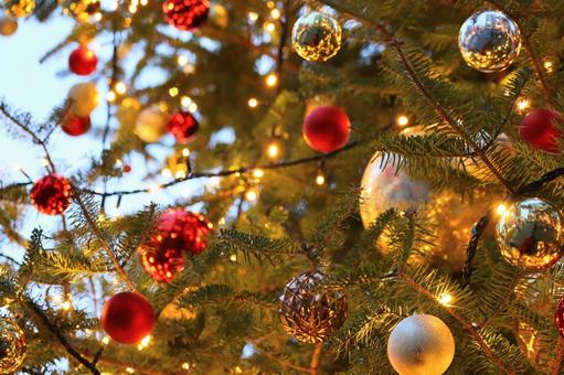 クリスマスツリー　１の写真