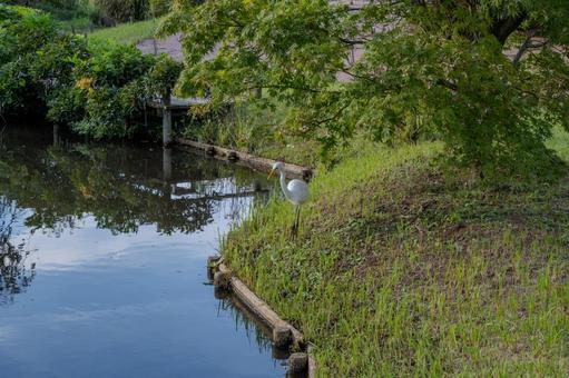 清水公園の秋 清水公園の秋 清水公園,park,秋の写真素材