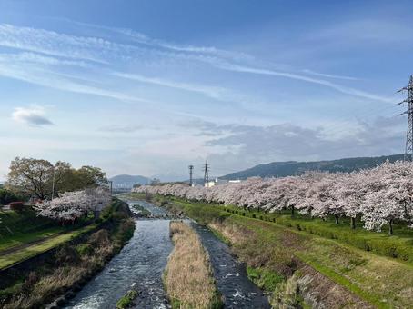 空と川と桜の交差点 空と川と桜の交差点の写真
