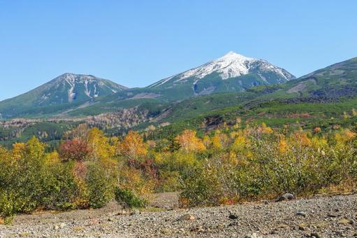 10月秋の紅葉した十勝岳望岳台 十勝岳,望岳台,大雪山の写真素材