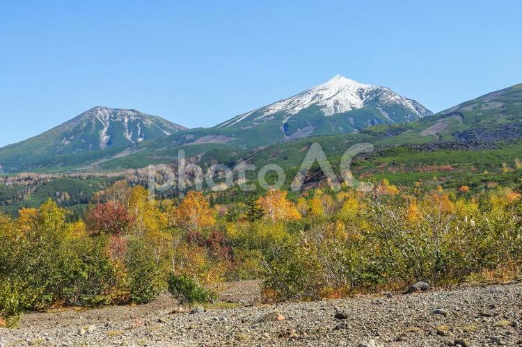10月秋の紅葉した十勝岳望岳台 十勝岳,望岳台,大雪山の写真素材