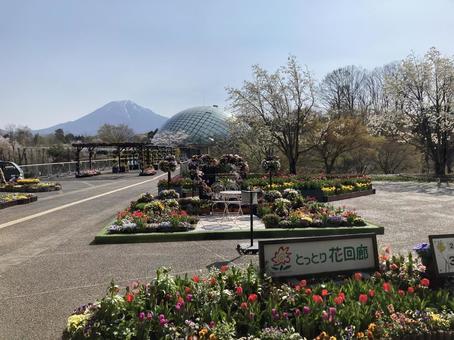 花回廊 花回廊 自然,木,屋外の写真素材