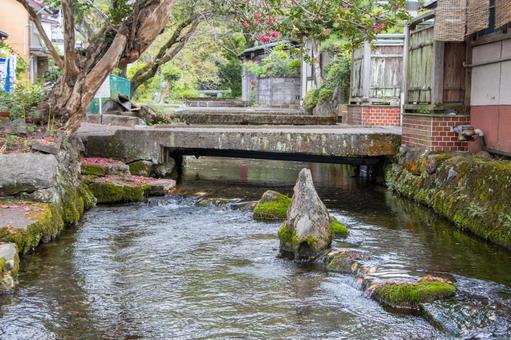 醒井宿 居醒の清水 地蔵川 醒井宿,居醒の清水,地蔵川の写真素材