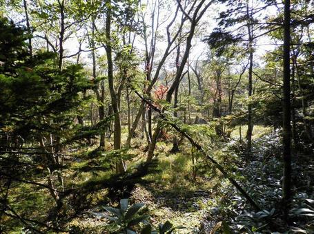 知床国立公園 知床国立公園の写真