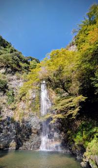 青空と虹と滝 行楽 お出かけ 自然 青空と虹と滝 行楽 お出かけ 自然 滝,虹,青空の写真素材