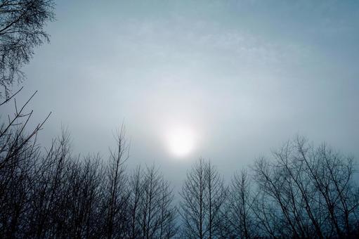 光の世界8 光の世界8 光,光線,空の写真素材