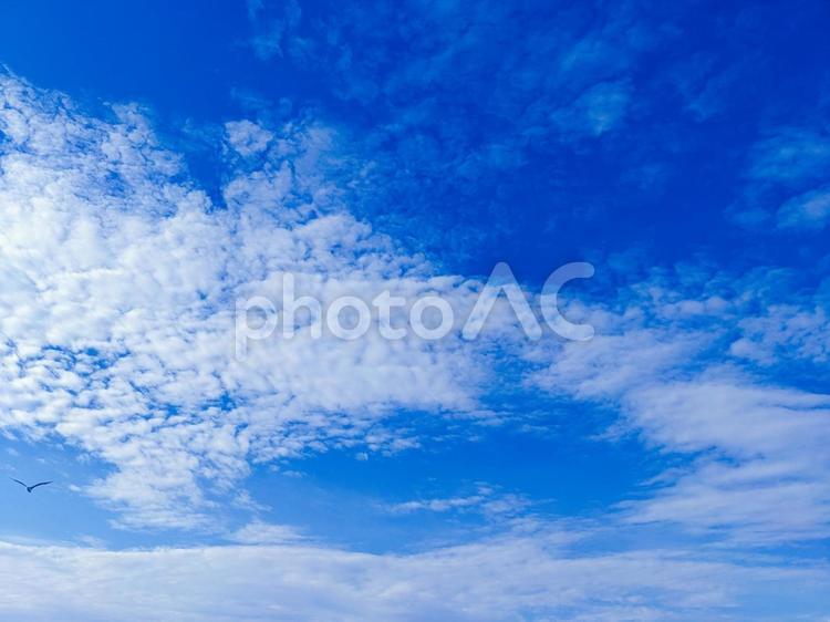 夏の白い雲と澄み渡る青空 空,癒し,空背景の写真素材