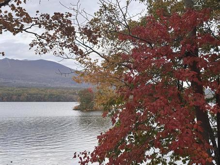 秋の大沼３ 紅葉,もみじ,大沼の写真素材