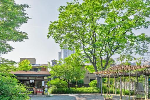 墨田区 向島百花園（東京） 墨田区,東向島,向島百花園の写真素材