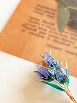 リンドウの花の写真