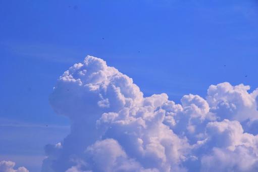 空画像・背景素材/夏の空雲・入道雲 空画像・背景素材/夏の空雲・入道雲の写真