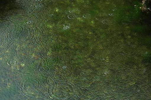 雨の波形ー自然の美 雨の波形ー自然の美 雨の波形,雨の日,波形の写真素材