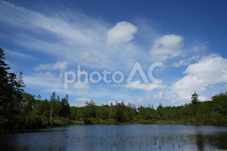 神仙沼（北海道） 神仙沼,沼,北海道の写真素材