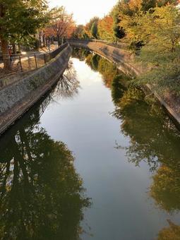 紅葉を映す川面 紅葉を映す川面の写真