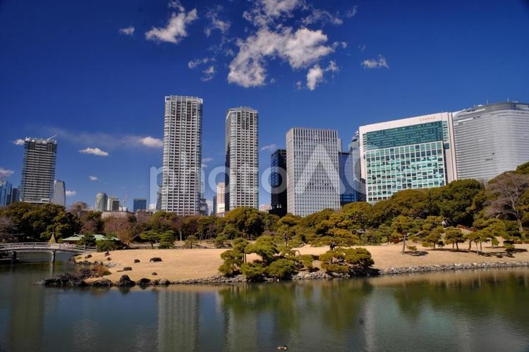 浜離宮から見た青空と高層ビル群② 浜離宮恩賜庭園,浜離宮,観光地の写真素材