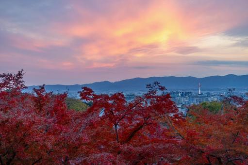 清水寺奥の院から見える京都タワーと紅葉1 清水寺奥の院から見える京都タワーと紅葉1 京都,清水寺,奥の院の写真素材
