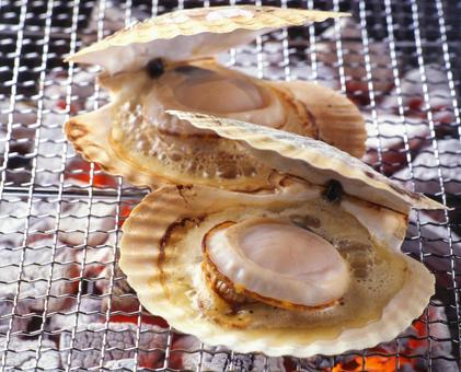 帆立の網焼き 帆立の網焼き ホタテ,帆立,bbqの写真素材