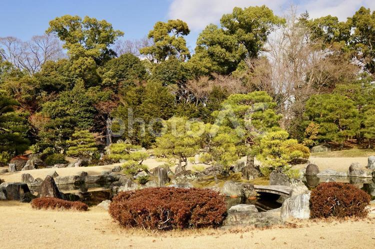 二条城本丸庭園の風景 二条城,本丸庭園,日本庭園の写真素材