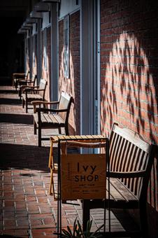 岡山　倉敷美観地区の風景 倉敷,倉敷美観地区,岡山の写真素材