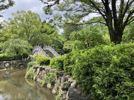 公園の中の橋 公園の中の橋の写真