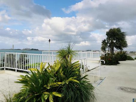 沖縄の海 沖縄の海,沖縄,海の写真素材