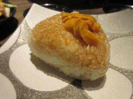 Sea urchin rice ball, sea urchin, rice ball, rice, JPG