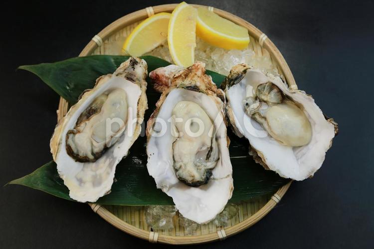 生ガキ オイスター,生牡蠣,生食の写真素材