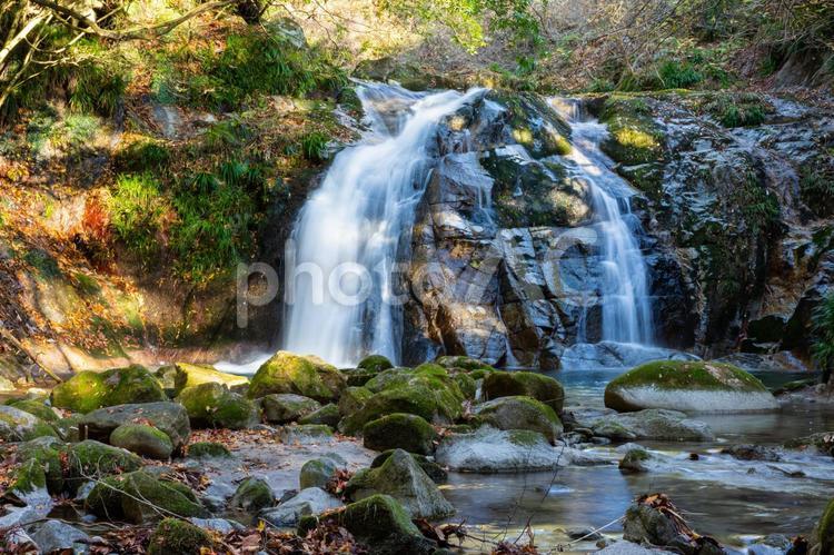 花貫渓谷　不動滝 不動滝,花貫渓谷,渓谷の写真素材