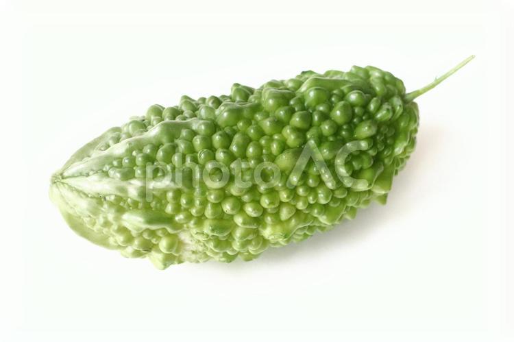 夏野菜　ゴーヤ（にがうり） ゴーヤ,にがうり,野菜の写真素材