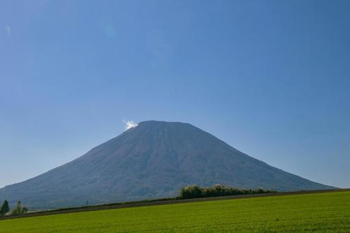 畑と羊蹄山 畑と羊蹄山の写真
