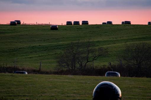 牧草地を覆う、たそがれ時の静寂 夕焼け,夕暮れ,日没の写真素材