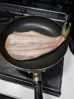しまほっけ しまほっけ ほっけ,ホッケ,フライパンの写真素材